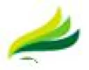 Synergy Power Ltd