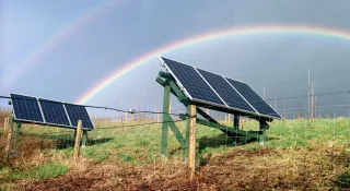 Midsummer Energy image 2