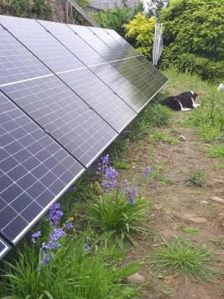 P4 Solar Panels Yorkshire image 2